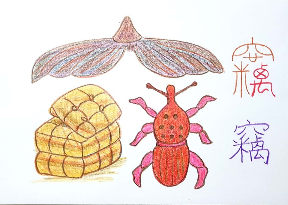 ▲ 竊(절)은 움집(穴)에 쌓아둔 곡식( )을 갉아먹는 쌀벌레(설)를 표현했다. /그림=소헌