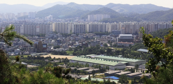 울창한 숲 지나 말 뛰놀던 마장뜰 한눈에