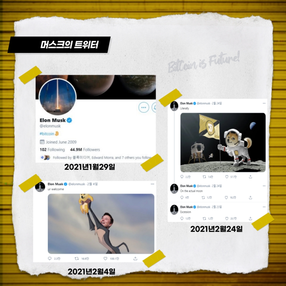 김기자의 이슈여행기] 머스크가 선택한 도지코인, 대체 뭐길래? < 기획특집 < 기사본문 - 인천일보