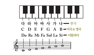 ['수포자'가 수학1등급 되기] 악기의 진동이 소리로, 소수를 아는 매미 - 인천일보