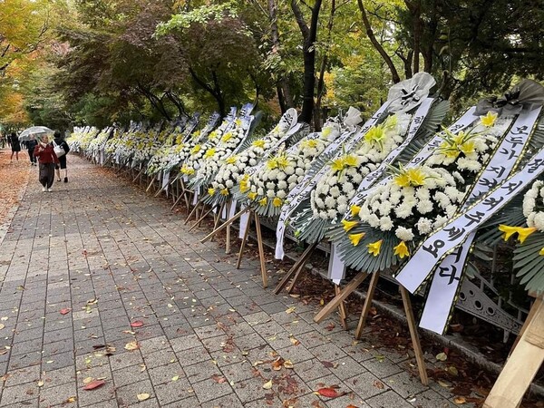 ▲ 성남시 분당구 서현동 집단 학폭 발생 초등학교앞 인도에 분노한 학부모 등이 보낸 학폭 근조화환들.