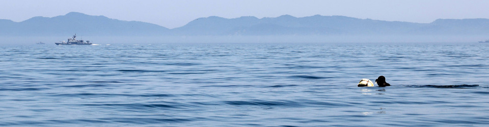 ▲ 서해 최북단 백령도 앞바다 해녀 김호순(77) 씨가 고요한 바다속에서 물질을 하고 있다. 아주 작게 들려오는 숨비소리. 뒤에는 북측 땅이 보이고 사진 왼편에는 북방한계선을 지키는 NLL 해군 함정이 있다. /양진수 기자 photosmith@incheonilbo.com