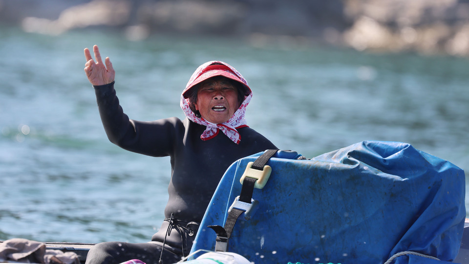 ▲ 서해 최북단 백령도 앞바다 해녀 김호순(77) 씨가 사위 김학진씨를 바다에서 만나 이야기를 한다. 이들은 제주도 방언으로 이야기 한다. /양진수 기자 photosmith@incheonilbo.com