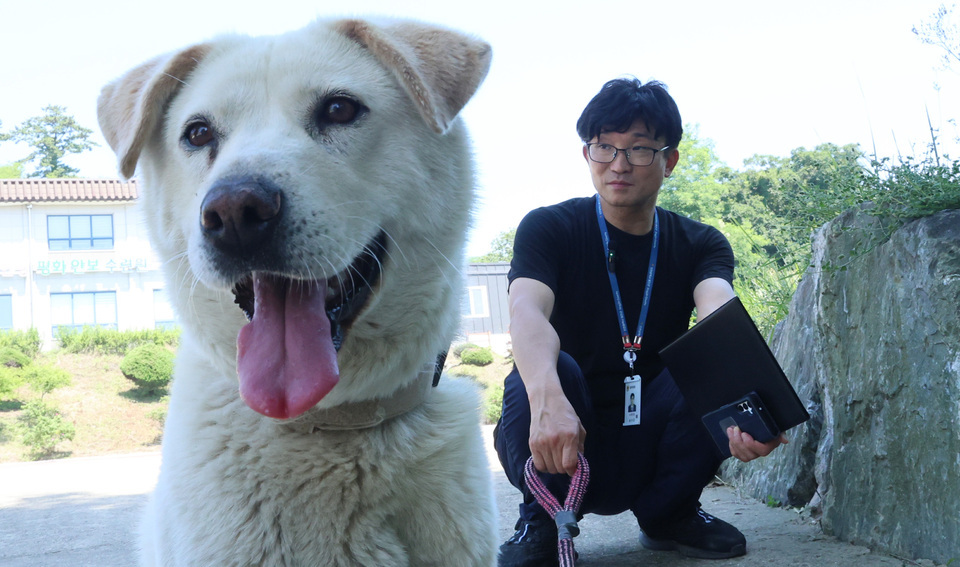 ▲ 인천 옹진군 연평도 평화안보수련원 앞. 2023년부터 풍산개 ‘햇님’이를 돌보고 있는 심용섭 주무관이 햇님이와 함께 쉬고 있는 모습. /이재민 기자 leejm@incheonilbo.com