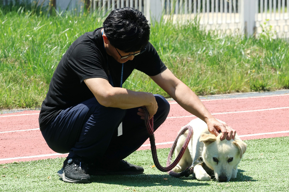 ▲ 심용섭 주무관이 연평도 평화안보수련원 운동장에서 풍산개 ‘햇님’이를 쓰다듬고 있다. /이재민 기자 leejm@incheonilbo.com