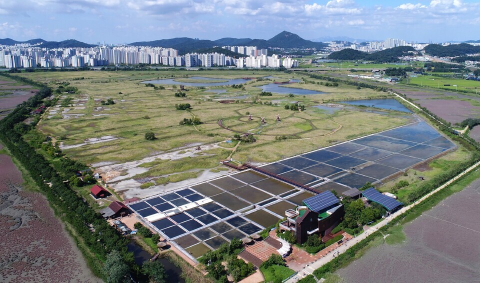 ▲ 인천시가 제1호 국가도시공원 지정을 추진 중인 소래습지생태공원. /사진출처= 인천 남동구