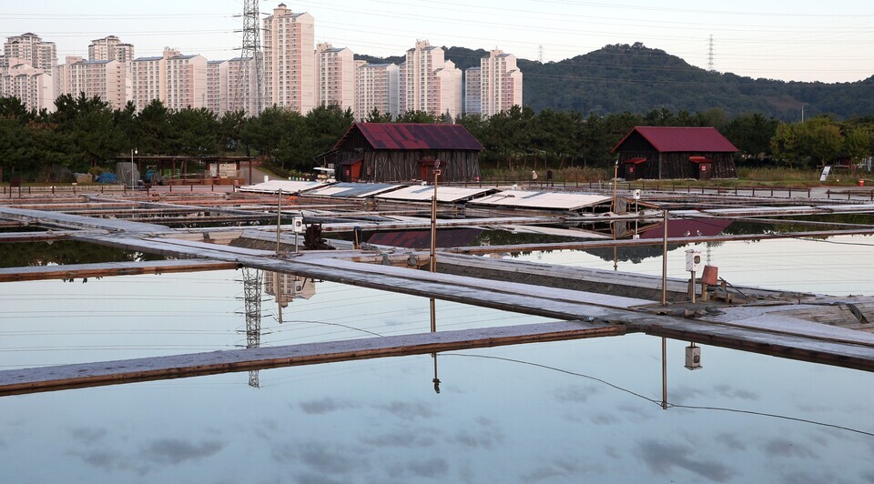 ▲ 소래습지생태공원에서는 1930년대 후반 천일염을 생산했던 염전의 모습을 볼 수 있다. /사진출처= 인천 남동구