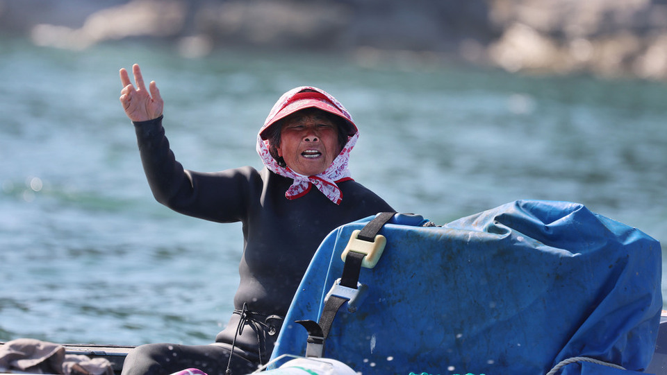 ▲ 서해 최북단 백령도 앞바다 해녀 김호순(77) 씨가 사위 윤학진씨를 바다에서 만나 이야기를 한다. 이들은 제주도 방언으로 이야기 한다.  /양진수 기자 photosmith@incheonilbo.com