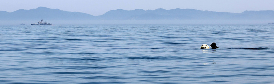 ▲ 인천 옹진군 백령도 두무진항에서 15분 떨어진 바닷가. 해녀 김호순(77) 씨가 고요한 바닷가에서 숨비소리를 내며 평화롭게 물질하고 있다. 해녀가 있는 바다 뒤에는 북한 땅이 희미하게 보이고, 서해 북방한계선을 수호하는 군함도 떠 있다. 인천 섬 사람과 바다 이야기인 &#39;섬, 하다&#39;. 사진·영상·오디오 자료를 결합한 인터랙티브 콘텐츠로 이제 독자와 만난다. ▶관련기사 12면 /양진수기자photosmith@incheonilbo.com