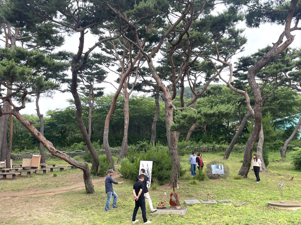 ▲ 강남중 뒤편 소나무길 참여형 전시를 시민들이 살펴보고 있다. /사진제공=인천문화재단