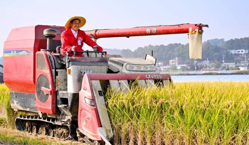 ▲ 전진선 양평군수가 영농철 벼베기를 하고 있다. /사진제공=양평군