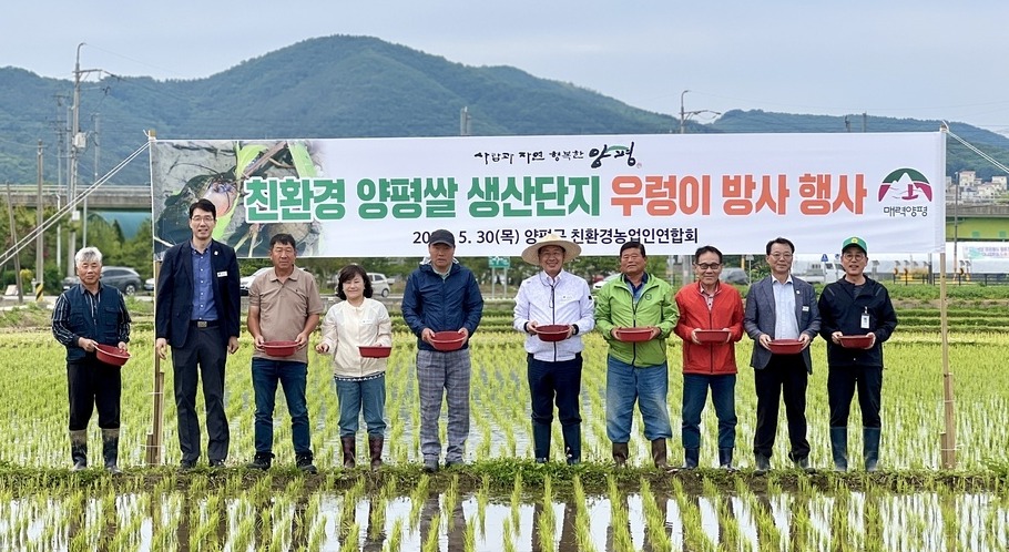▲ 친환경 양평쌀 생산 우렁이 방사 행사 모습. /사진제공=양평군