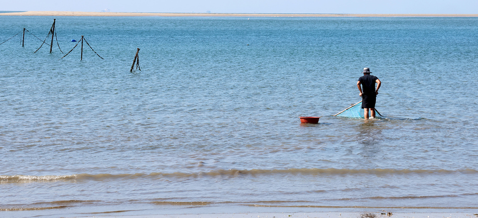 ▲ 지난 10일 인천 옹진군 대이작도에서 김민욱(32) 청년회장이 곤쟁이 잡이용 그물을 들고 물속에 들어가 곤쟁이를 잡고 있다. /인천일보