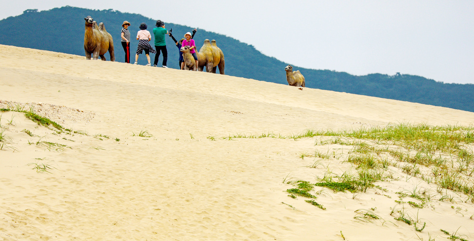 ▲ 대청도 옥죽동 해안사구에 설치된 쌍봉낙타 조형물 앞에서 관광객들이 기념사진을 찍고 있는 모습. /인천일보