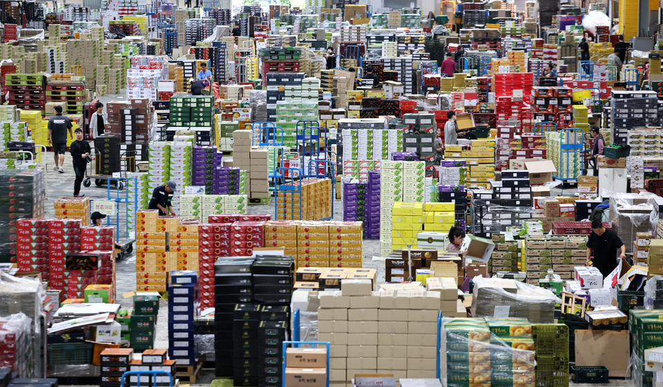 ▲ 민족 대명절 추석을 열흘여 앞둔 지난달 24일 인천 남동구 남촌농산물도매시장에 제수용 과일이 쌓여 있다. /이재민 기자 leejm@incheonilbo.com