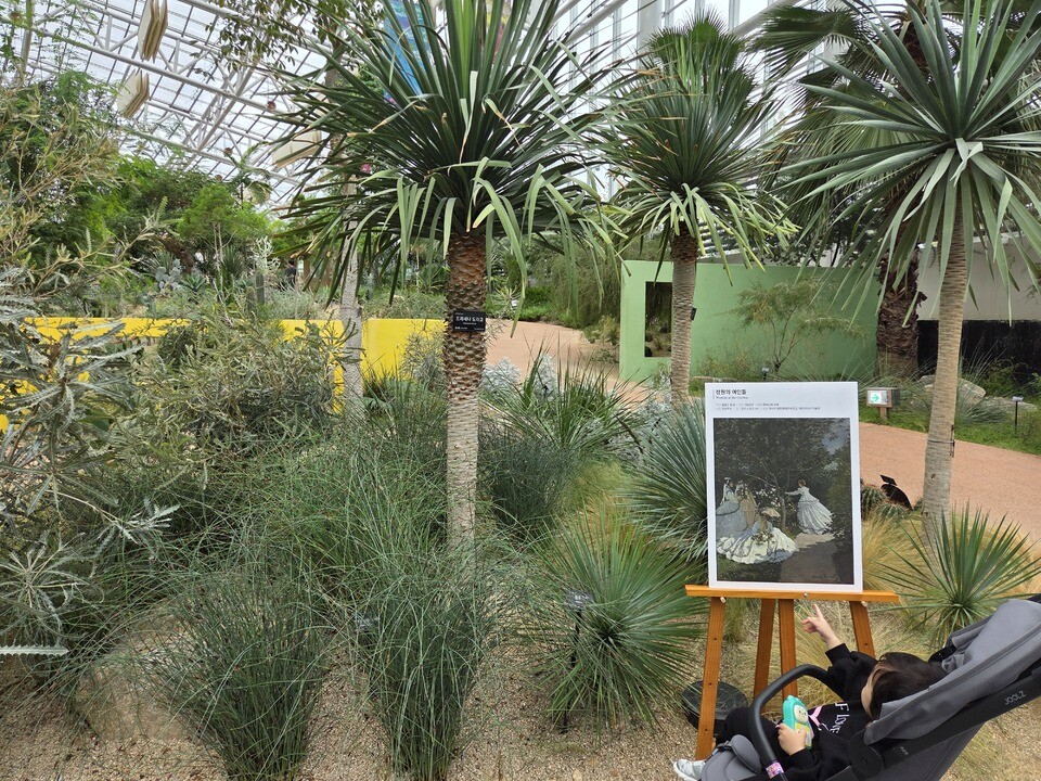 ▲ 일월수목원 전시온실에서 다양한 지중해 식물과 모네의 작품을 관람하는 어린이.