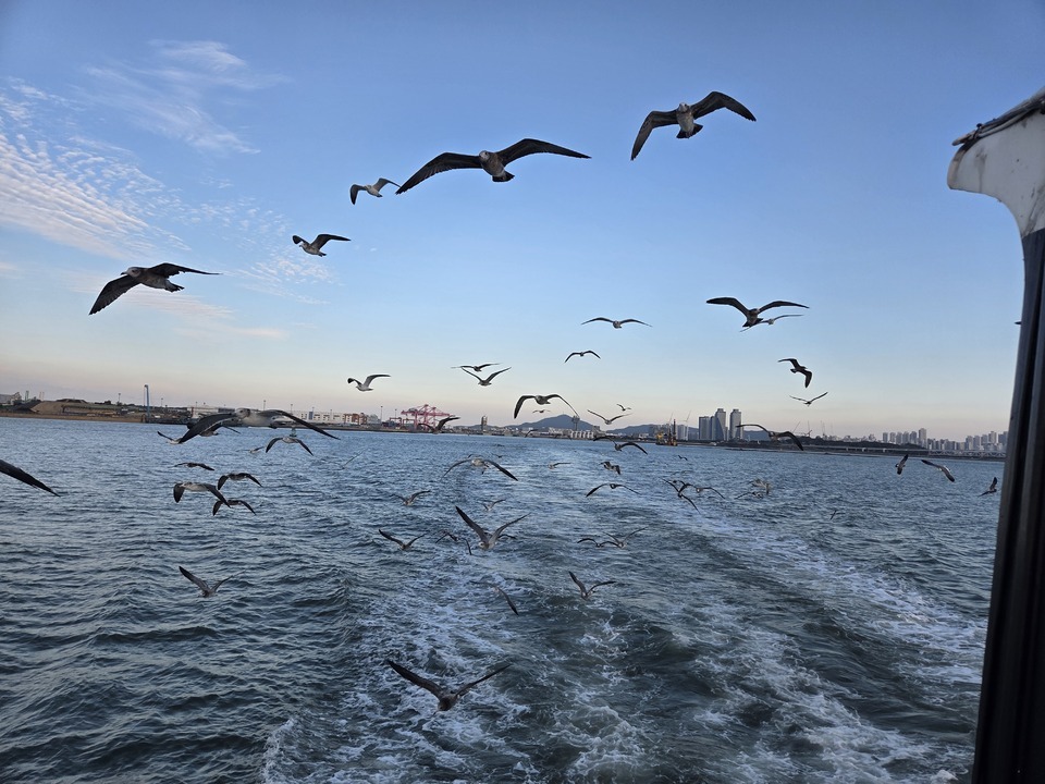 ▲ 서해갑문을 통과해 경기만에서 김포 대명항으로 힘찬 여정을 떠나는 크루즈선.