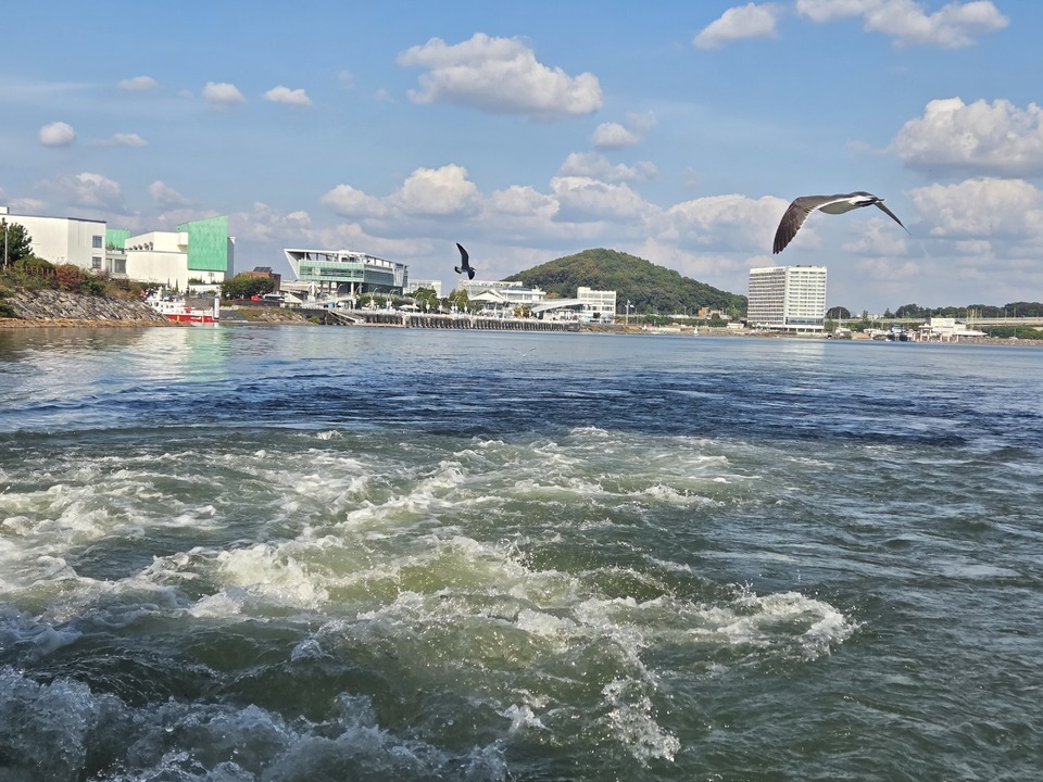 ▲ 공모를 통해 참여한 260여명의 김포 시민들이 승선한 ‘아라호’가 김포 고촌 아라김포여객터미널을 출항하고 있다.