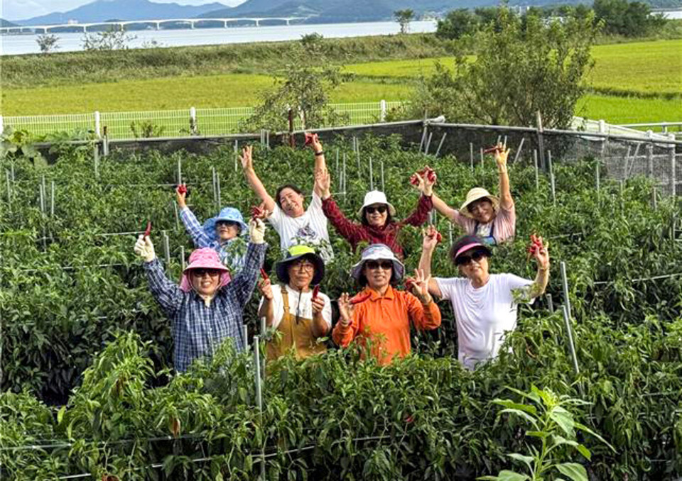 ▲ 개방극장 '얼렁뚱땅 챌린저스' 활동 모습.