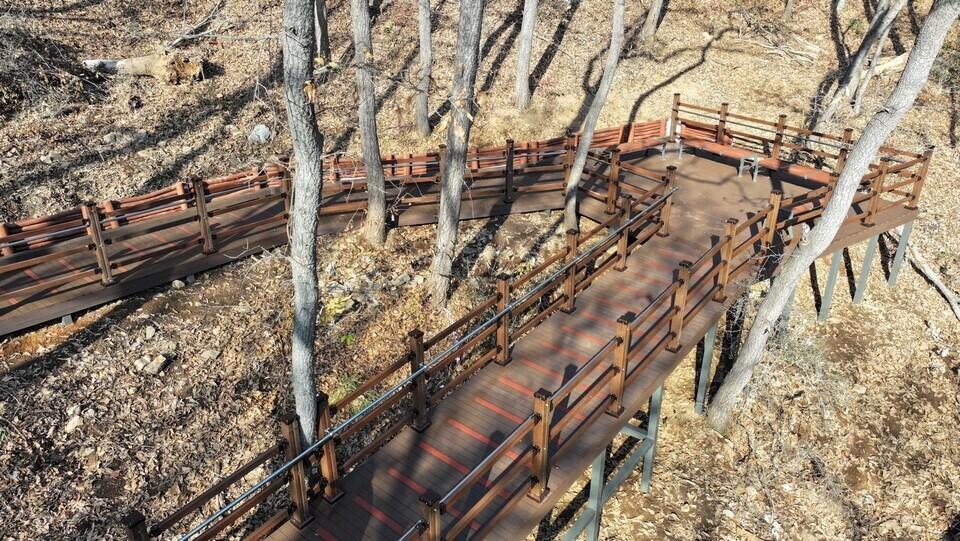 ▲인천 서구가 한국산림복지진흥원이 주최한 2026년 녹색인프라 확충사업 공모에 ‘원적산 무장애나눔길조성사업’이 최종 선정돼 7억 원의 복권 기금을 확보했다. 사진은 본문과 관계없다. /사진제공=서구
