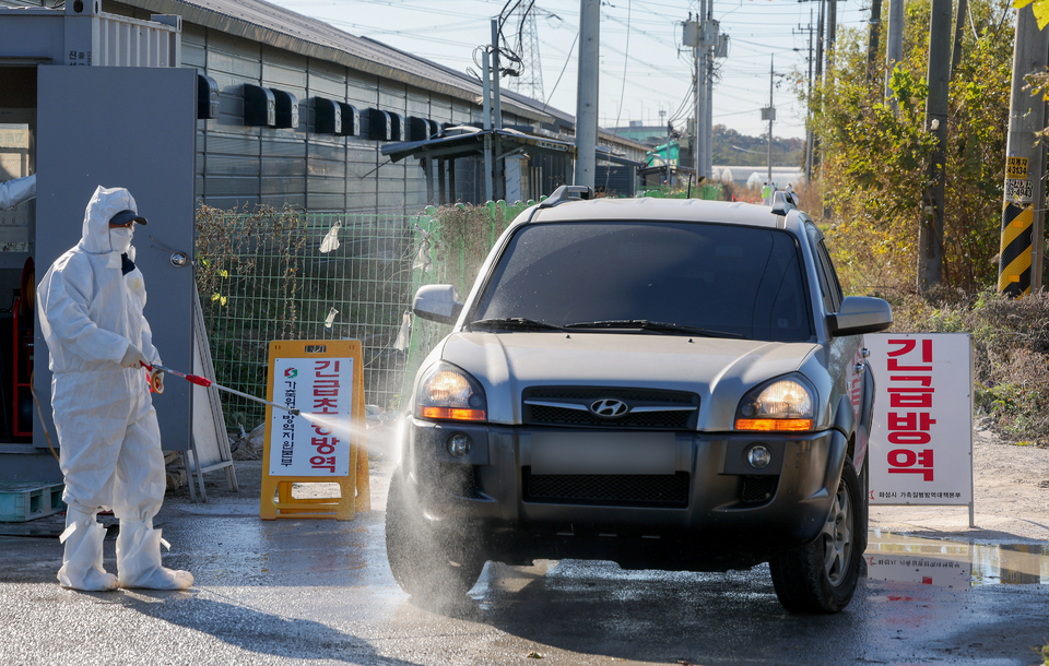 ▲ 10일 오전 H5형 조류인플루엔자(AI) 항원이 확인된 화성시 향남읍의 한 가금농장이 통제되고 있다. 해당 농장은 육용종계 1만8000마리를 사육했으며, 이번 확진으로 9월 이후 고병원성 AI 발생 건수가 파주시와 광주광역시 포함 3건으로 늘었다./전광현 기자 maggie@incheonilbo.com