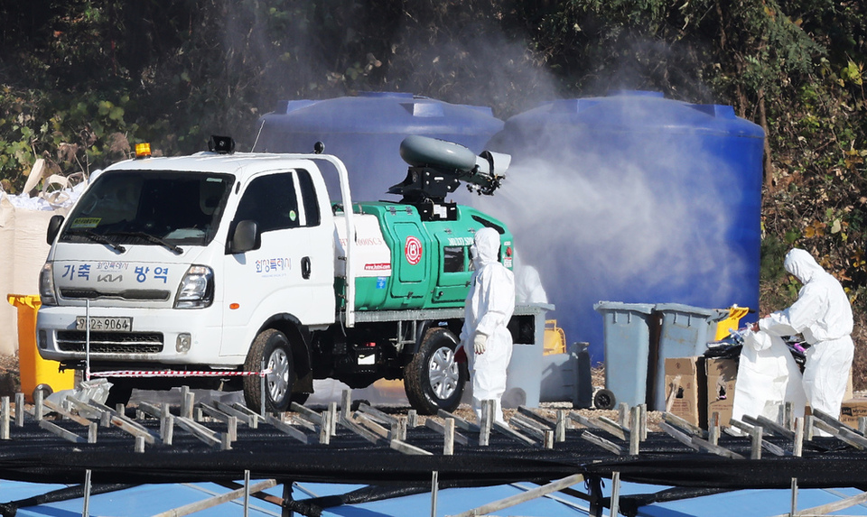 ▲ 16일 고병원성 조류인플루엔자 항원이 확인된 화성시 한 산란계 농장 주변에서 방역차가 방역을 하고 있다. 고병원성 조류인플루엔자(AI) 중앙사고수습본부는 경기 화성 소재 산란계 농장에서 16일 H5형 AI 항원이 확인됐다고 밝혔다. /연합뉴스