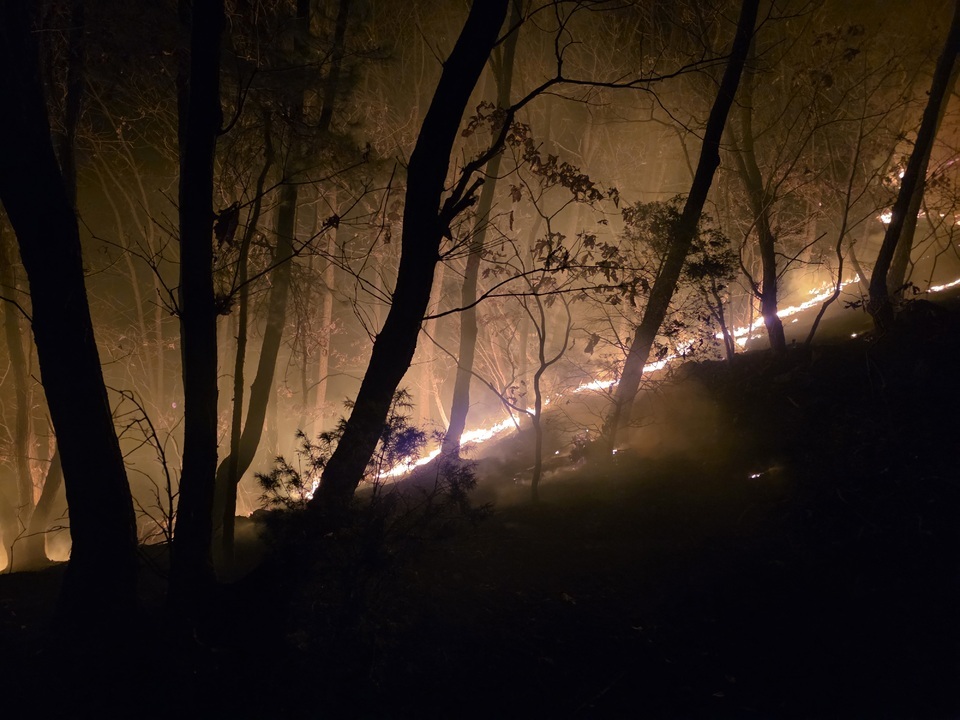 ▲ 16일 연천군 전곡읍 양원리에서 산불이 발생해 약 1.5㏊가 불에 탔다. /사진제공=북부소방재난본부