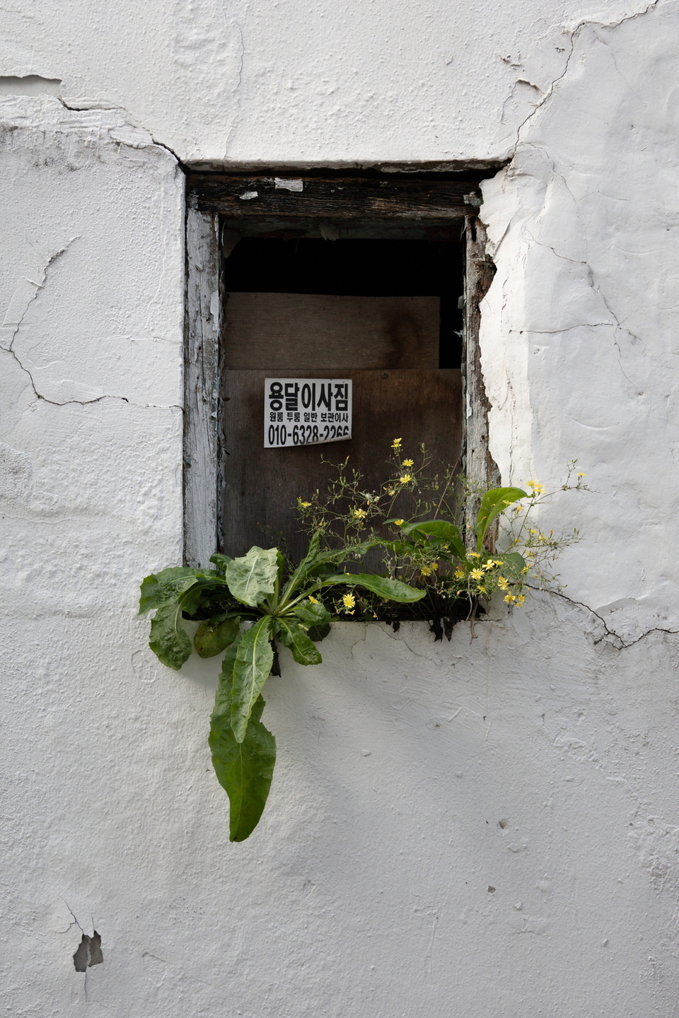 ▲이선주, 남창동, 2025. /사진제공=수원을기록하는사진가회