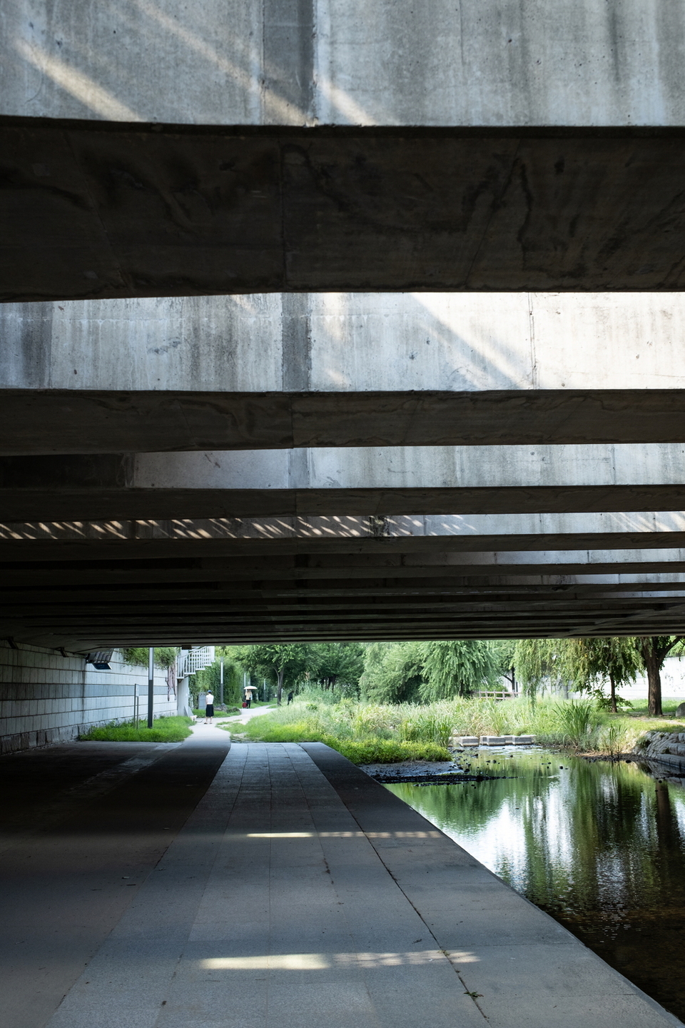 ▲ 김미준, 모수길, 2025. /사진제공=수원을기록하는사진가회