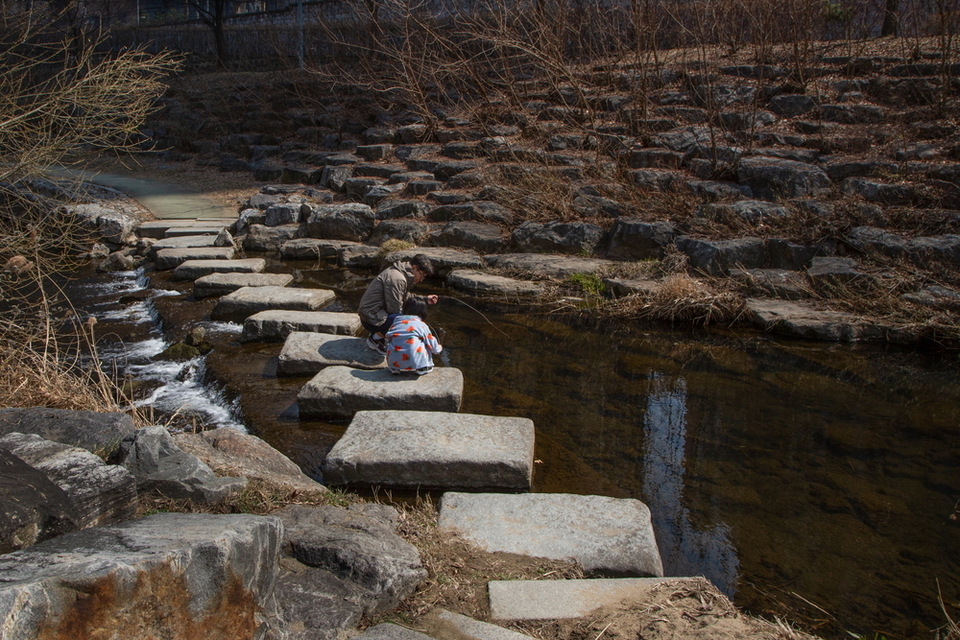 ▲ 서금석, 여우길, 2025. /사진제공=수원을기록하는사진가회
