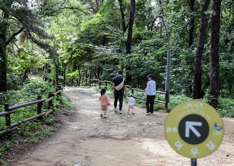 ▲ 강관모, 여우길, 2025. /사진제공=수원을기록하는사진가회