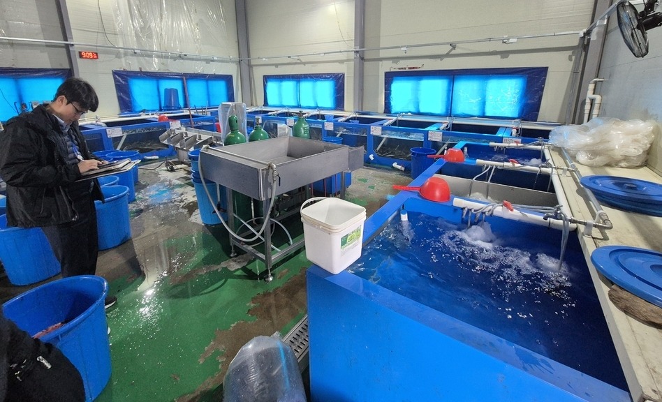 ▲ 최근 중부지방해양경찰청은 국립수산물품질관리원 인천지원과 함께 중국산 민물장어를 국내산으로 속인 수산업체 대표 A씨를 사기 및 농수산물의 원산지 표시에 관한 법률 위반 혐의로 구속 송치했다. /사진제공=중부지방해양경찰청