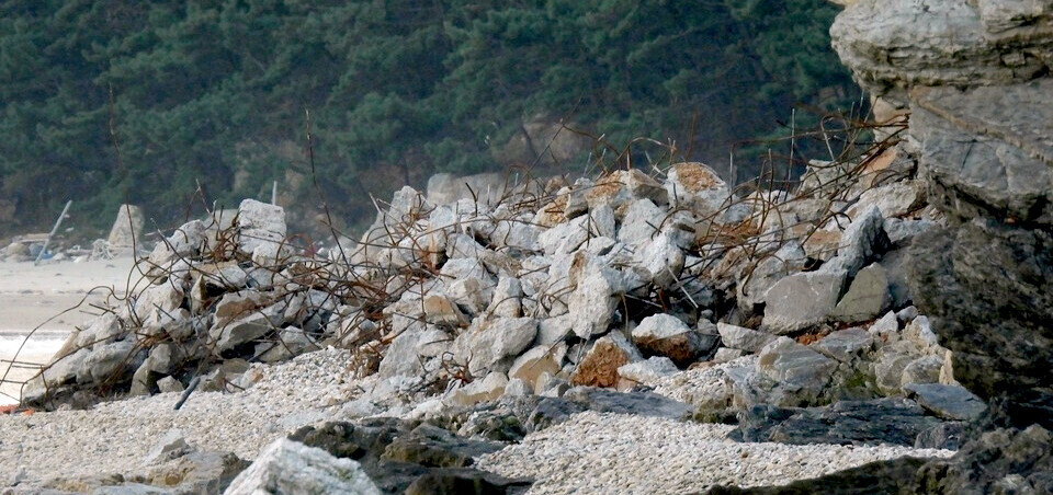 ▲ 천연기념물 점박이물범의 국내 최대 서식지인 인천 옹진군 백령도 하늬해변 일대에 시멘트 옹벽 폐기물이 방치돼 있다. /사진제공=인천녹색연합