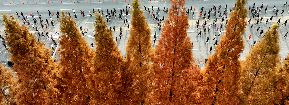 ▲ 23일 인천 미추홀구 문학경기장에서 열린 '2025 인천마라톤'에 참석한 마라토너들이 가을정취를 만끽하며 연수구 일대를 질주하고 있다. /이재민 기자 leejm@incheonilbo.com