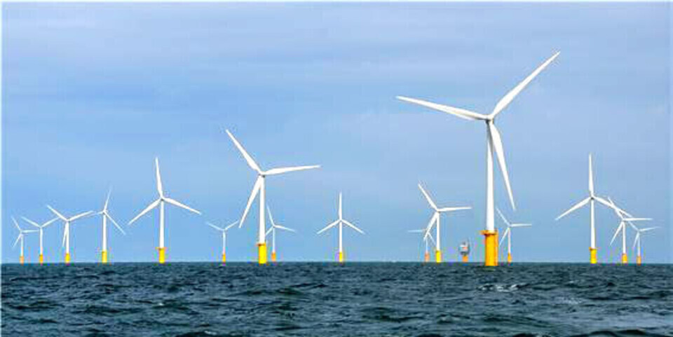 ▲ 해상풍력발전단지 모습. /사진제공=인천시