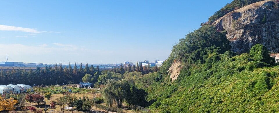 ▲ iH가 실시계획 인가를 받은 유원지 시설 조성사업을 미루다가 폐지된 송도석산 밑 터가 텃밭으로 이용되고 있다. /인천일보 DB