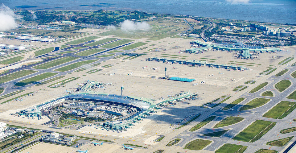 엽총 대신 레이저…인천공항, 조류 충돌 막는다