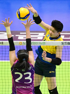 29일부터 2024 KOVO 여자부 아시아쿼터 <b>트라이아웃</b>…정관장 메가·현대건설 위...