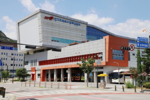 파주 임진각 DMZ 마라톤 행사 도중 7명 부상… 병원 이송