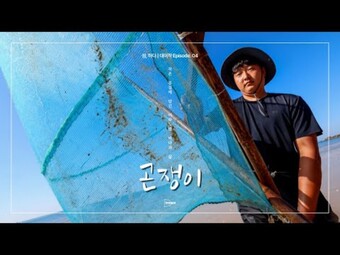 곤쟁이, 작은 몸집에 담긴 대이작도의 바다와 삶